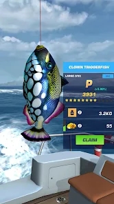 Screenshot 19
