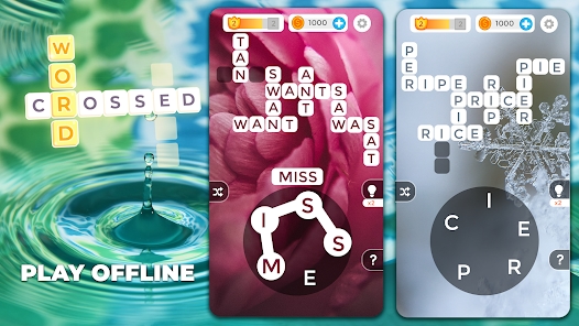 Screenshot 22