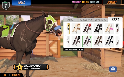 Screenshot 19