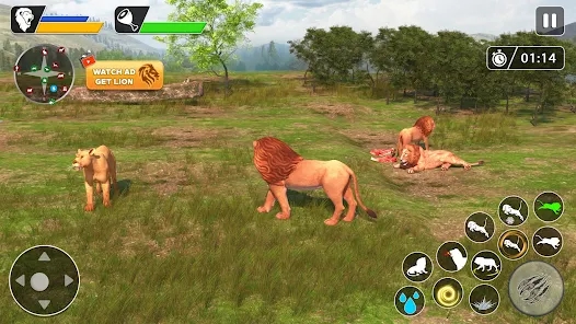 Screenshot 13