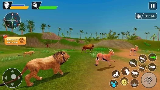 Screenshot 19