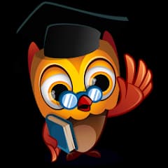 Brainster Quiz