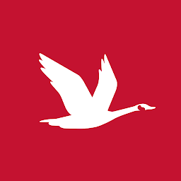 Wawa cover