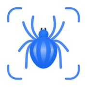 Picture Insect: Bug Identifier