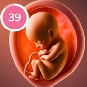 Pregnancy Tracker and Baby App