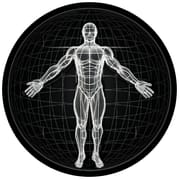 BodBot AI Workout Planner